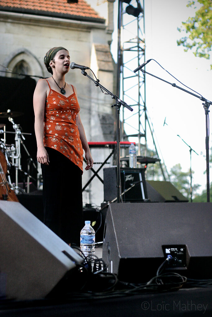 IMG-8262.jpg