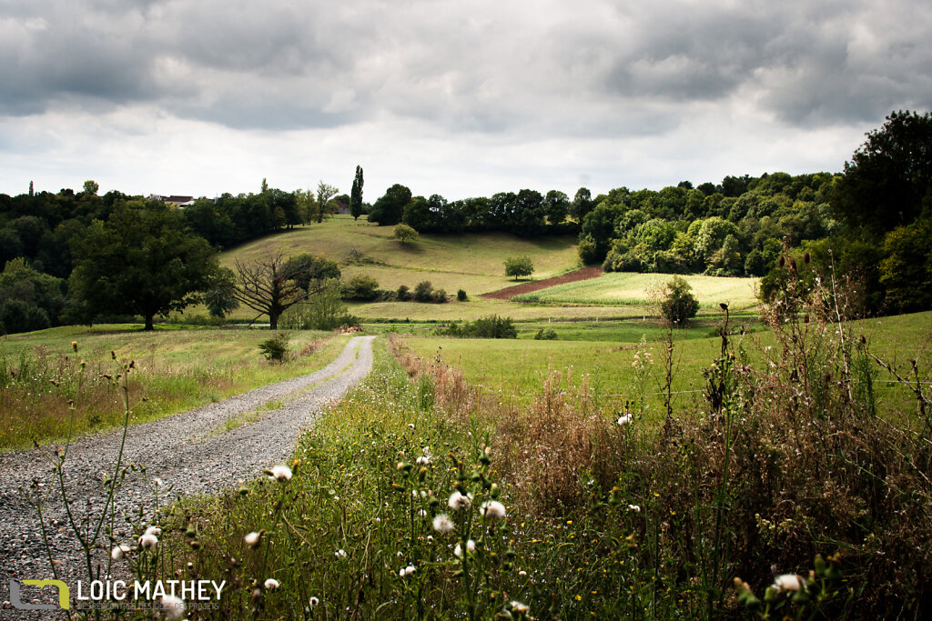 Paysage