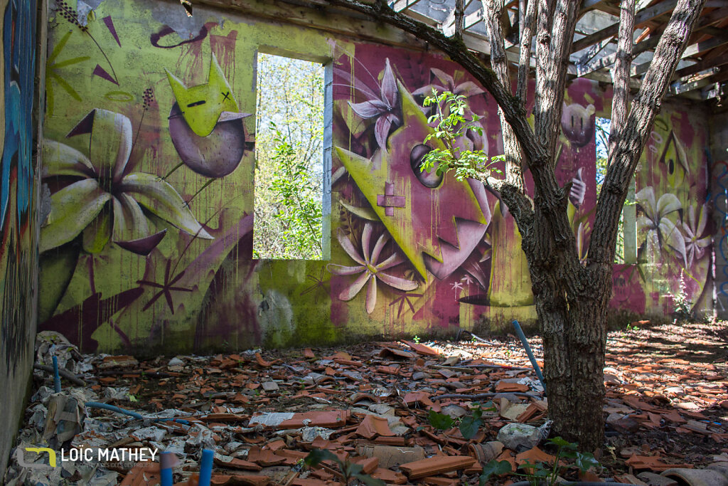 20190324_Urbex Chartreuse de Bel Sito